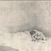 Bambino di poco più di 10 mesi (Felicetto) nella sua camera presa l'abitudine a coricarsi da solo [anni Trenta] - Halka Lubienska, <em>Il bambino trionfante</em>, in "Montessori", a.I, n.2, 15 febbraio 1931, p.30.$$$354